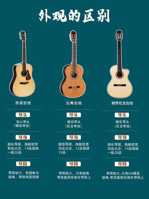 吉他的基本常识(吉他的基本认识) 第5张 吉他的基本常识(吉他的基本认识) 第5张