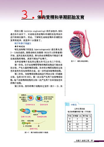 日常生活中的生物常识 - 日常生活中的生物常识手抄报 第5张 日常生活中的生物常识 - 日常生活中的生物常识手抄报 第5张