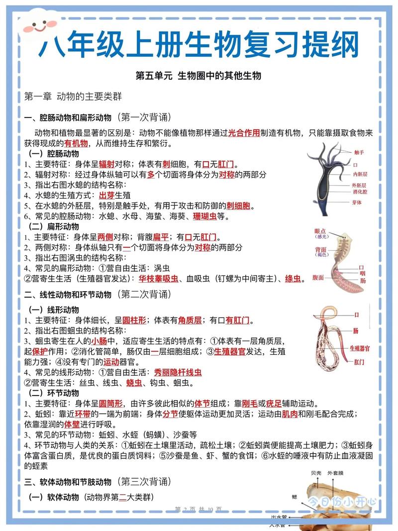 日常生活中的生物常识 - 日常生活中的生物常识手抄报 第6张 日常生活中的生物常识 - 日常生活中的生物常识手抄报 第6张