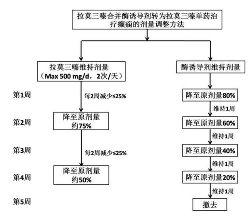 关于癫痫治疗的常识有哪些的信息 第3张 关于癫痫治疗的常识有哪些的信息 第3张