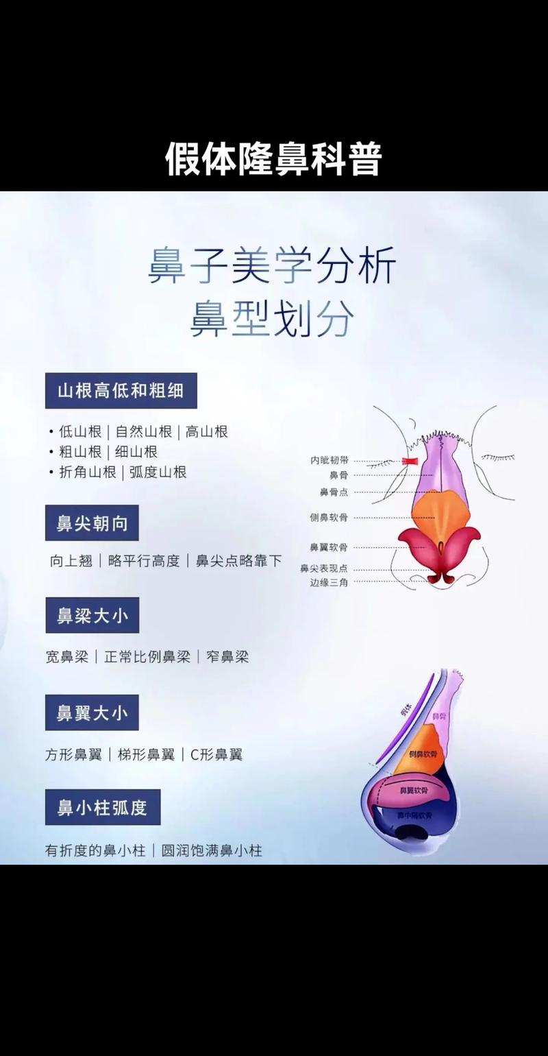 鼻部整形常识(鼻部整形的常识) 第8张 鼻部整形常识(鼻部整形的常识) 第8张