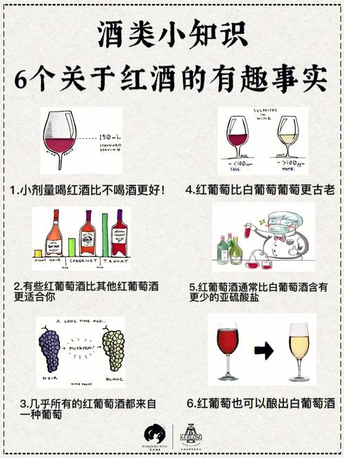 红酒基本常识 - 最全的红酒基本知识 第1张 红酒基本常识 - 最全的红酒基本知识 第1张