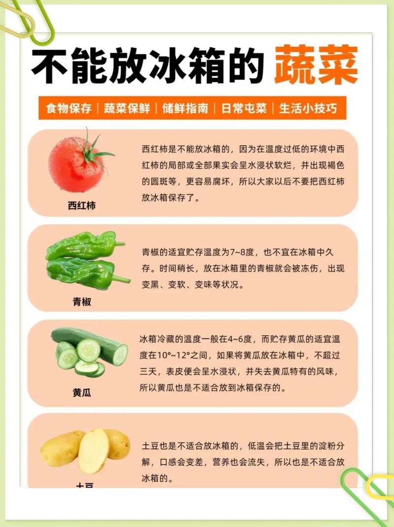 生活小技巧和常识(生活小常识生活小窍门100条) 第3张 生活小技巧和常识(生活小常识生活小窍门100条) 第3张