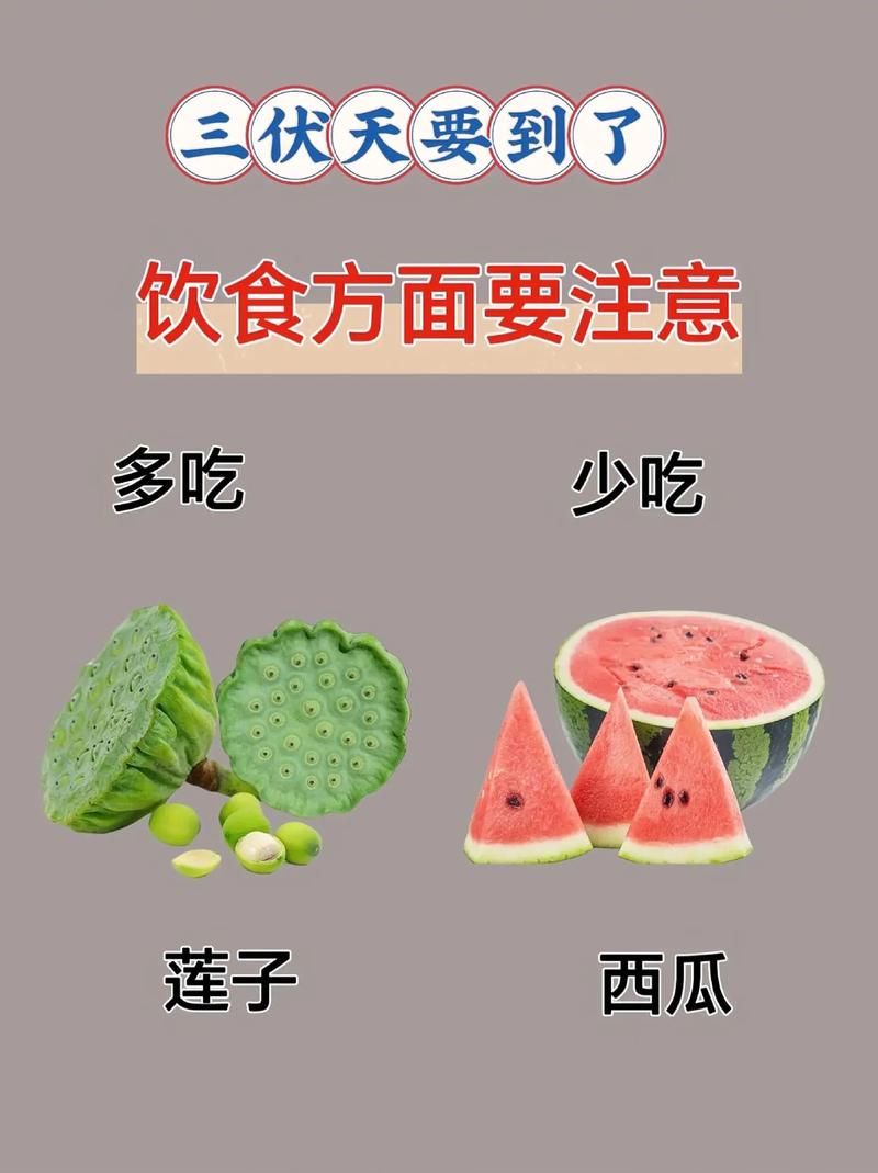 夏季饮食健康小常识,夏季饮食保健小常识 第3张 夏季饮食健康小常识,夏季饮食保健小常识 第3张