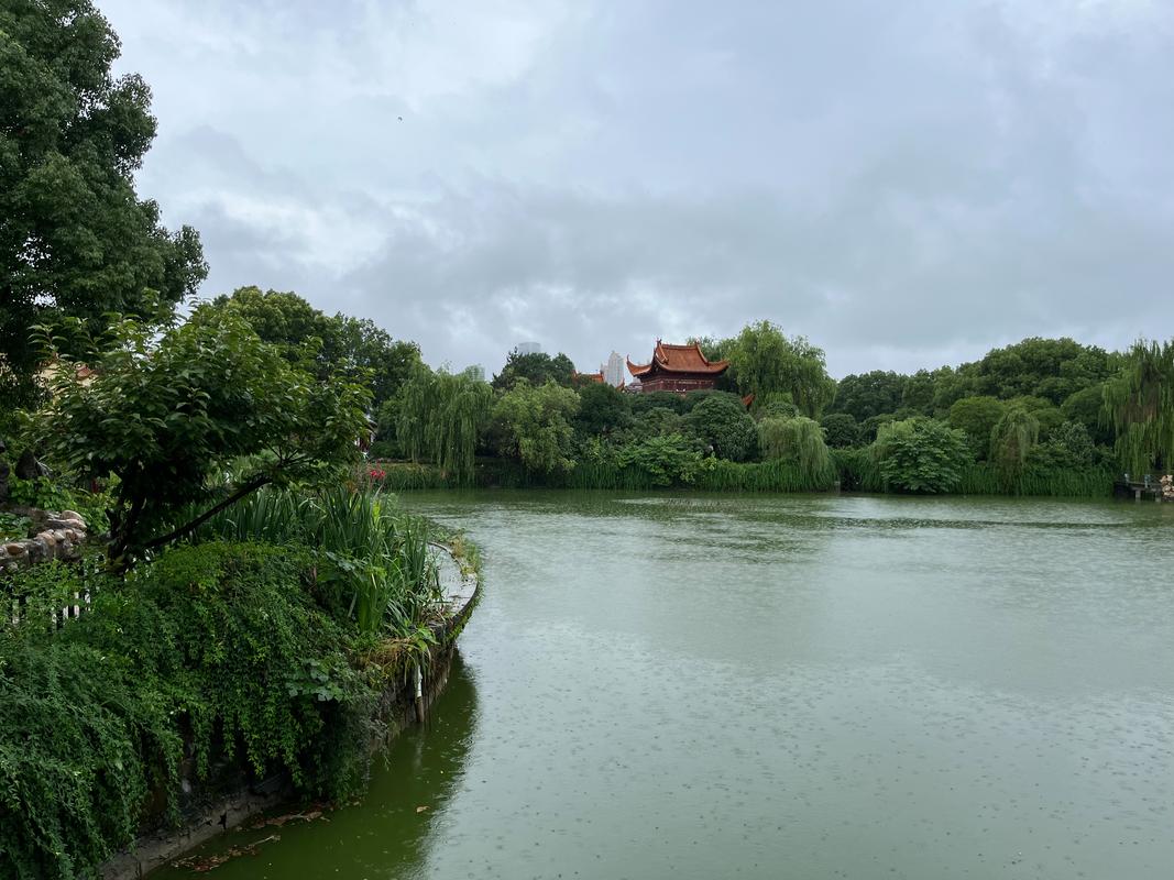 长沙下雨可以出行(长沙下雨啦) 第4张 长沙下雨可以出行(长沙下雨啦) 第4张