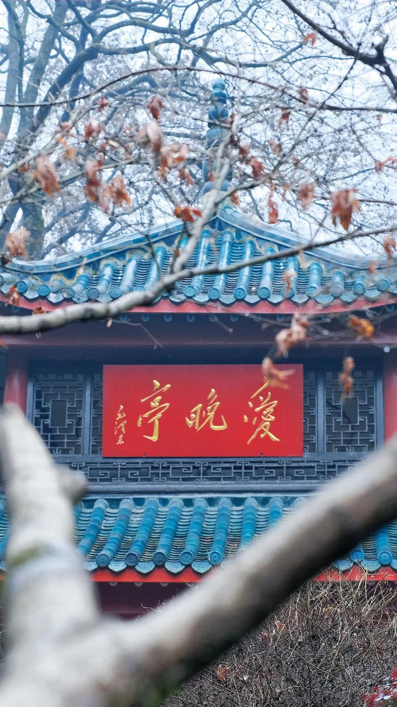 长沙下雨可以出行(长沙下雨啦) 第8张 长沙下雨可以出行(长沙下雨啦) 第8张