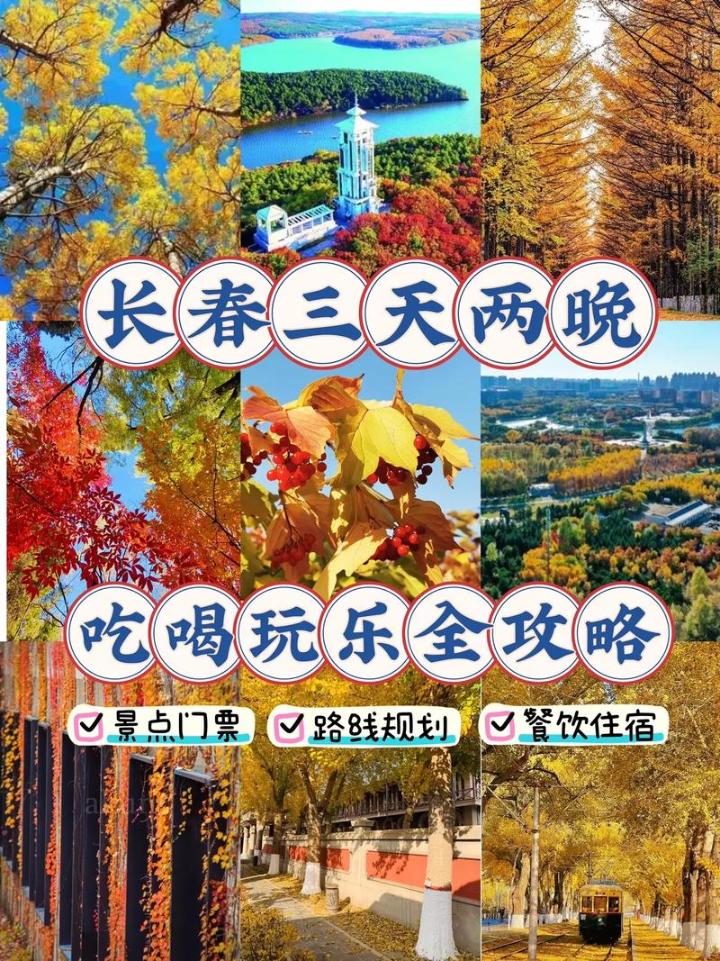 长春出行国庆政策(长春出行国庆政策最新消息) 第5张 长春出行国庆政策(长春出行国庆政策最新消息) 第5张