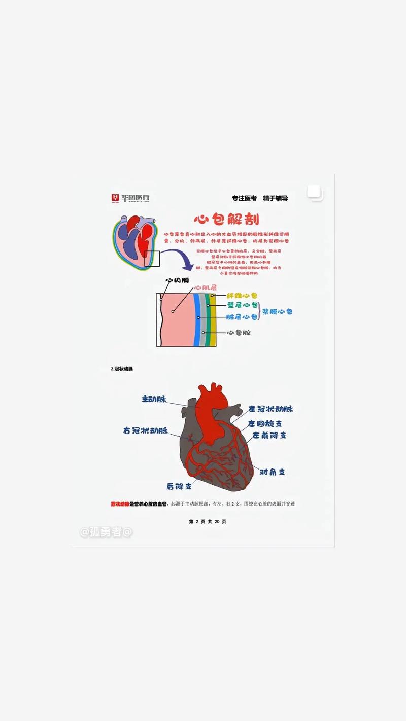 简单实用的医学小常识 - 1000个医学小常识大全 第1张 简单实用的医学小常识 - 1000个医学小常识大全 第1张