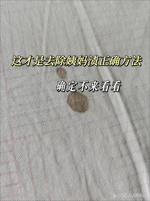 布草洗涤常识,布草洗涤常识图片 第7张 布草洗涤常识,布草洗涤常识图片 第7张