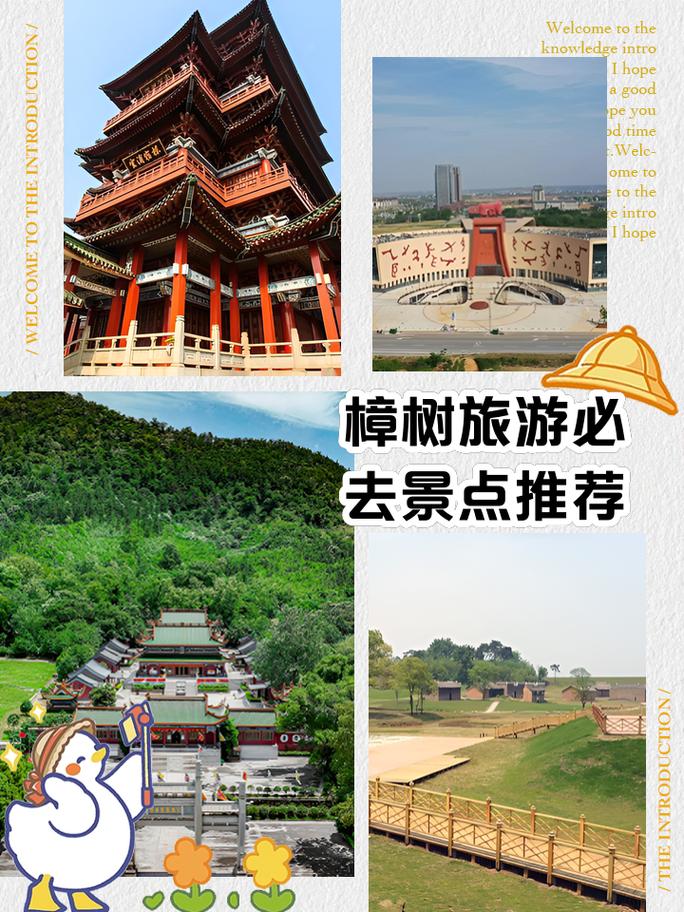 樟树旅行出行方式,去江西樟树 第2张 樟树旅行出行方式,去江西樟树 第2张