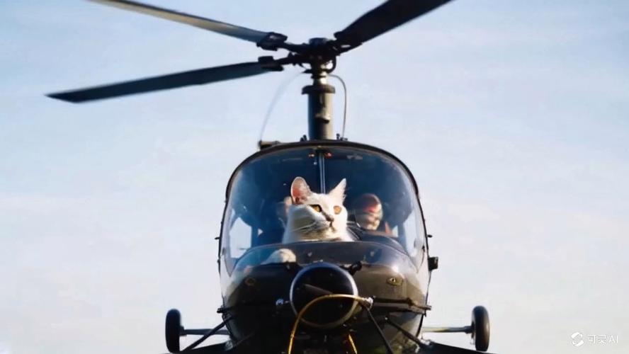长沙猫咪怎么出行,长沙猫咪吧 第1张 长沙猫咪怎么出行,长沙猫咪吧 第1张