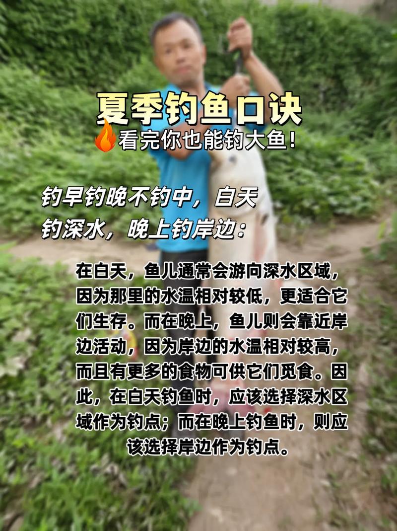 钓鱼的基本常识,钓鱼的基本要领 第4张 钓鱼的基本常识,钓鱼的基本要领 第4张