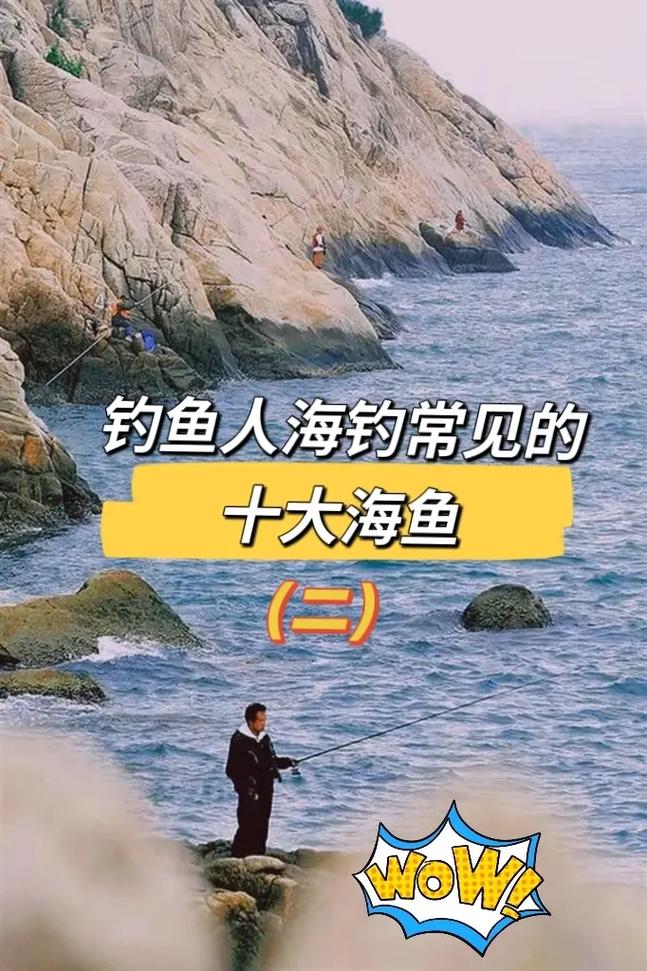 钓鱼的基本常识,钓鱼的基本要领 第5张 钓鱼的基本常识,钓鱼的基本要领 第5张