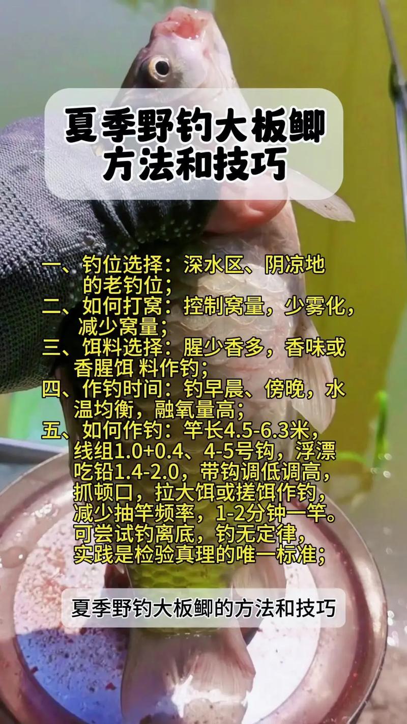 钓鱼的基本常识,钓鱼的基本要领 第7张 钓鱼的基本常识,钓鱼的基本要领 第7张
