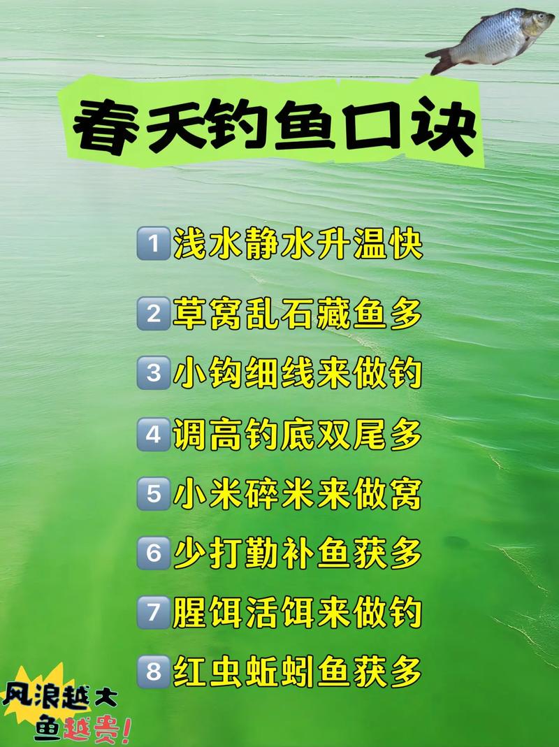 钓鱼的基本常识,钓鱼的基本要领 第8张 钓鱼的基本常识,钓鱼的基本要领 第8张
