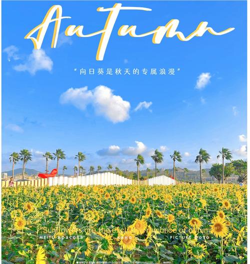 怎么形容秋天出行,秋天出行的文案 第1张 怎么形容秋天出行,秋天出行的文案 第1张