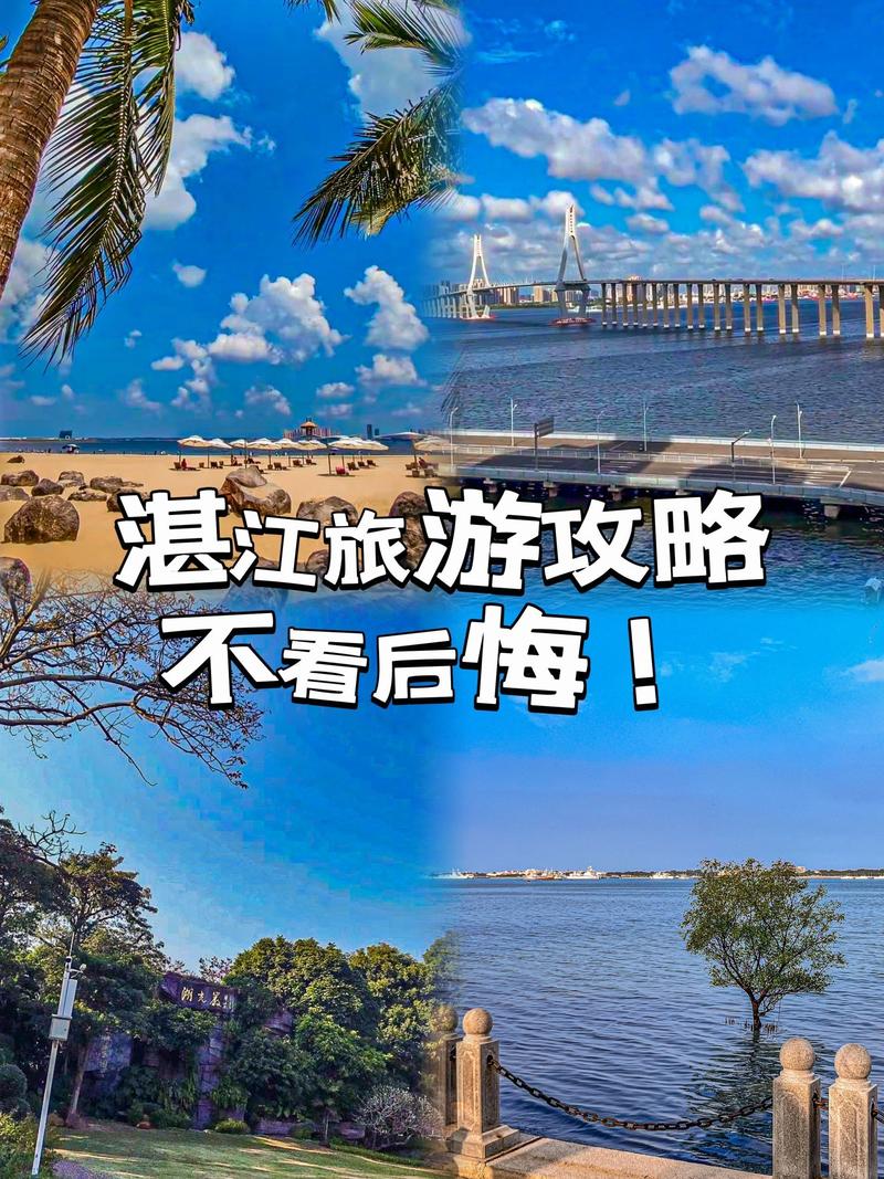 湛江假期出行要求 - 湛江出行需要核酸检测吗 第2张 湛江假期出行要求 - 湛江出行需要核酸检测吗 第2张