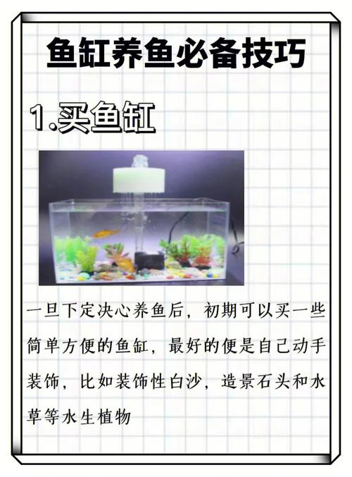 鱼缸养鱼常识,鱼缸饲养 第2张 鱼缸养鱼常识,鱼缸饲养 第2张