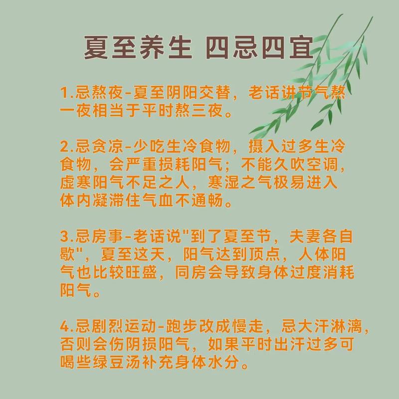夏至养生常识(夏至养生知识) 第2张 夏至养生常识(夏至养生知识) 第2张