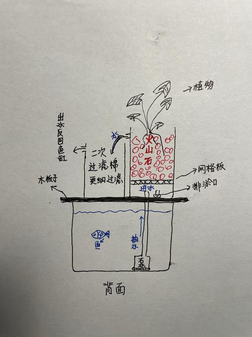 新手入门养鱼常识(新手入门养鱼常识视频) 第1张 新手入门养鱼常识(新手入门养鱼常识视频) 第1张