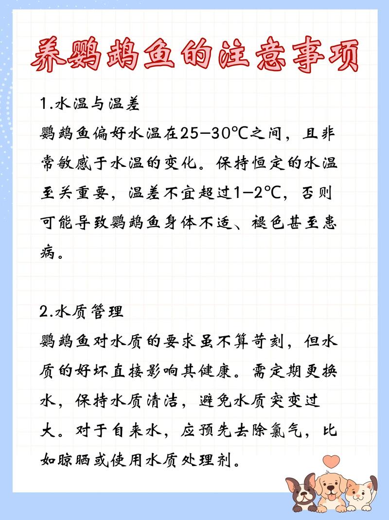 新手入门养鱼常识(新手入门养鱼常识视频) 第2张 新手入门养鱼常识(新手入门养鱼常识视频) 第2张