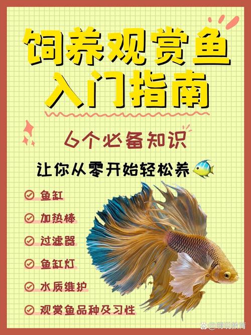 新手入门养鱼常识(新手入门养鱼常识视频) 第3张 新手入门养鱼常识(新手入门养鱼常识视频) 第3张