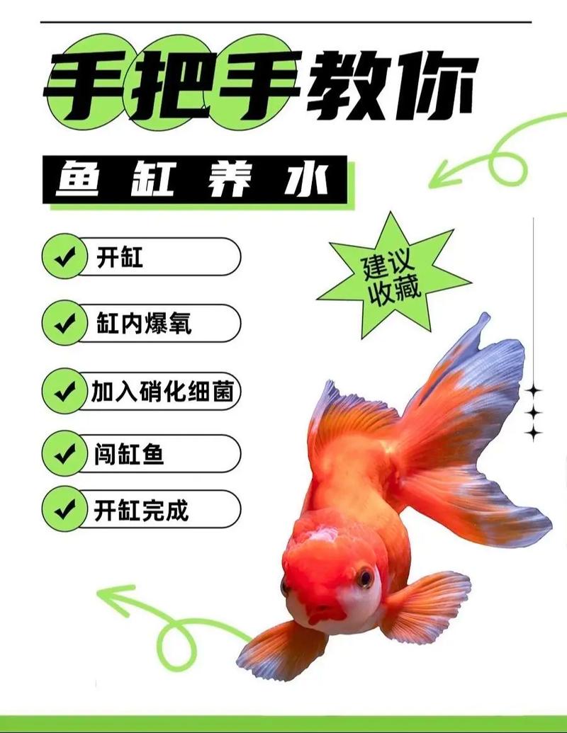 新手入门养鱼常识(新手入门养鱼常识视频) 第4张 新手入门养鱼常识(新手入门养鱼常识视频) 第4张