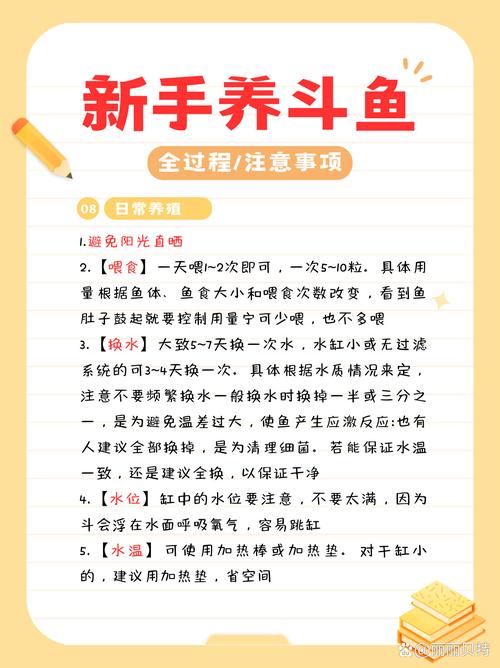 新手入门养鱼常识(新手入门养鱼常识视频) 第5张 新手入门养鱼常识(新手入门养鱼常识视频) 第5张