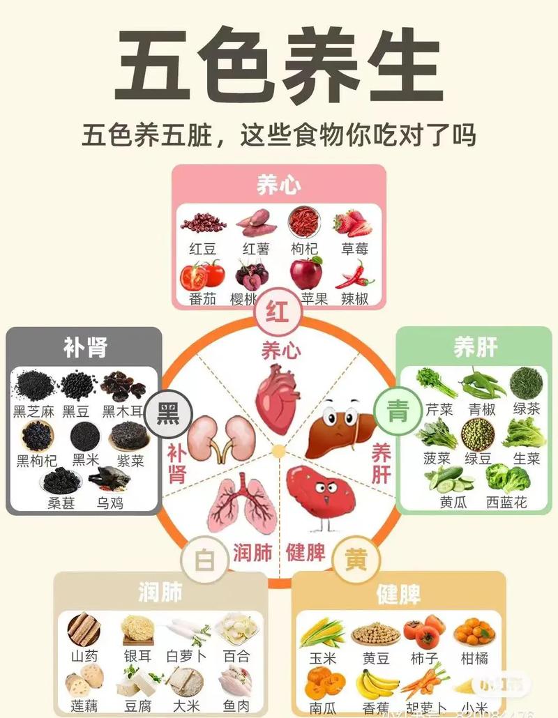 美食养生常识 - 养生美食做法视频 第6张 美食养生常识 - 养生美食做法视频 第6张