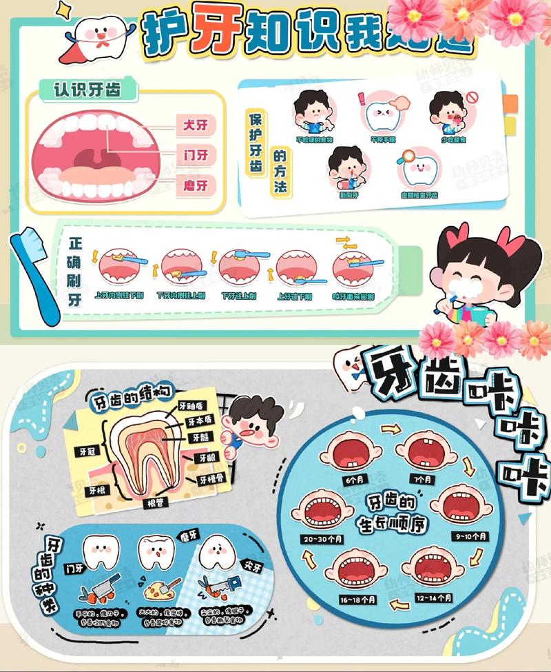 幼儿护牙常识(幼儿护牙小常识简短) 第3张 幼儿护牙常识(幼儿护牙小常识简短) 第3张