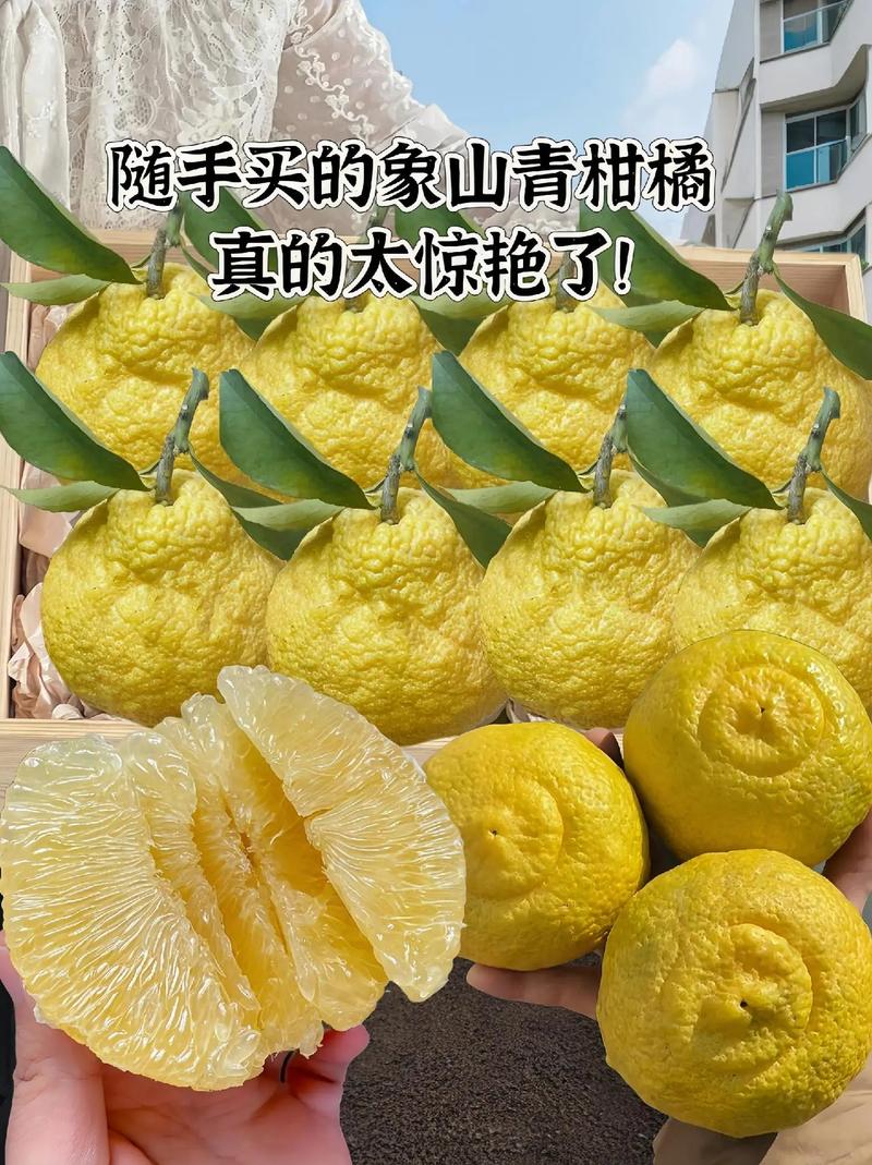 怎样成为青桔出行合伙人(怎么加入青桔工作) 第1张 怎样成为青桔出行合伙人(怎么加入青桔工作) 第1张