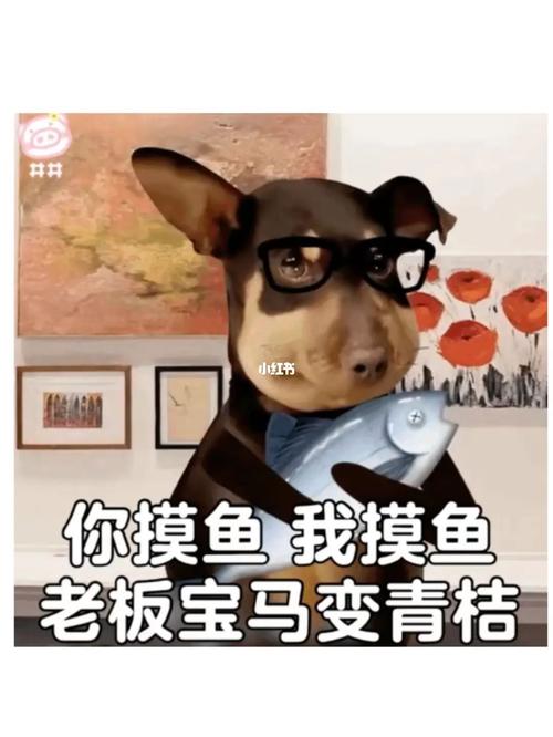 怎样成为青桔出行合伙人(怎么加入青桔工作) 第2张 怎样成为青桔出行合伙人(怎么加入青桔工作) 第2张