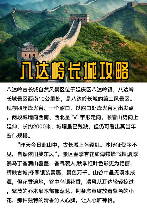长城出行服务优势 - 长城汽车的服务理念 第1张 长城出行服务优势 - 长城汽车的服务理念 第1张