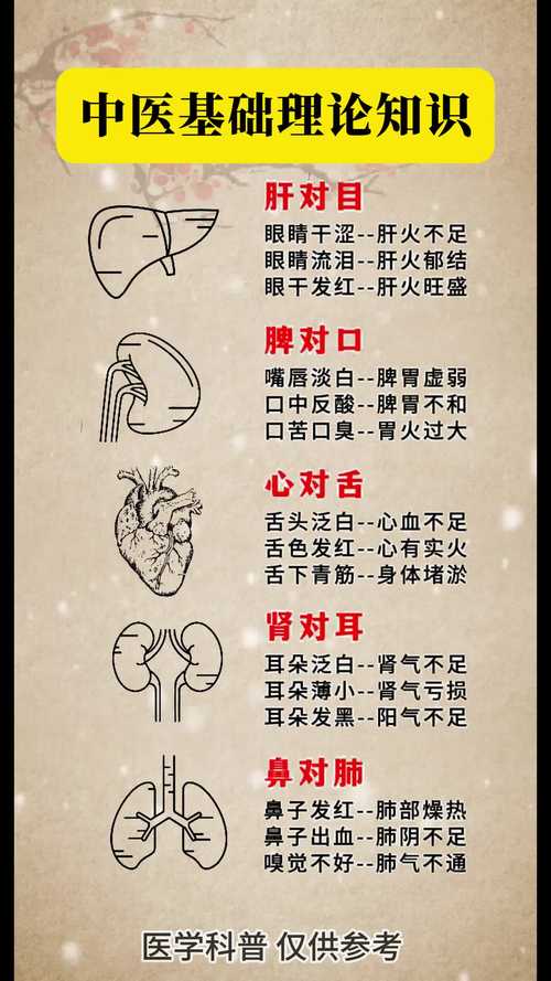 中医最基本的常识,中医基本知识内容 第4张 中医最基本的常识,中医基本知识内容 第4张