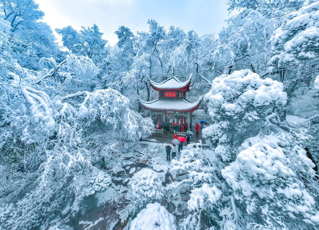 长沙下雪交通出行,长沙下雪了没有 第5张 长沙下雪交通出行,长沙下雪了没有 第5张