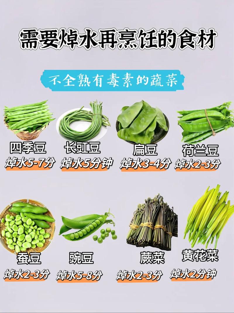 蔬菜常识大全 - 蔬菜的常识 第2张 蔬菜常识大全 - 蔬菜的常识 第2张