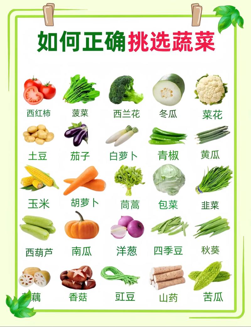 蔬菜常识大全 - 蔬菜的常识 第5张 蔬菜常识大全 - 蔬菜的常识 第5张
