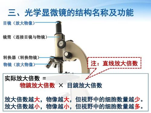 显微镜使用的基本常识 - 显微镜的使用包括什么 第3张 显微镜使用的基本常识 - 显微镜的使用包括什么 第3张