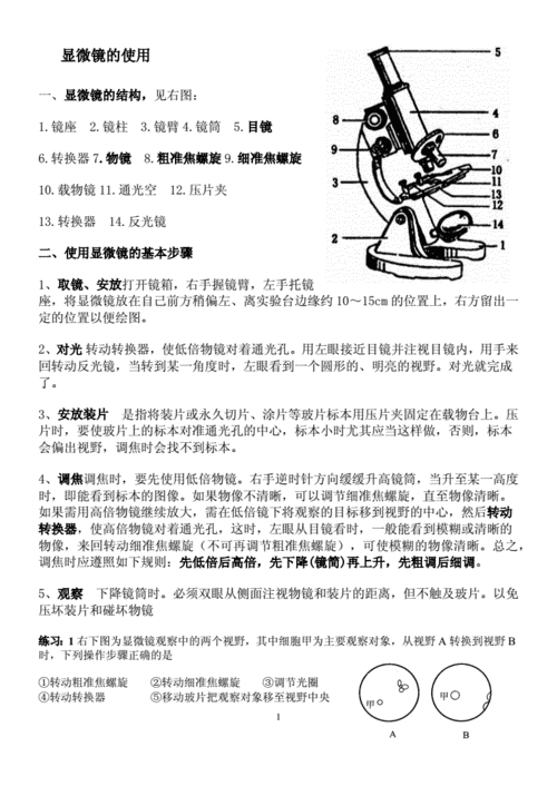 显微镜使用的基本常识 - 显微镜的使用包括什么 第5张 显微镜使用的基本常识 - 显微镜的使用包括什么 第5张
