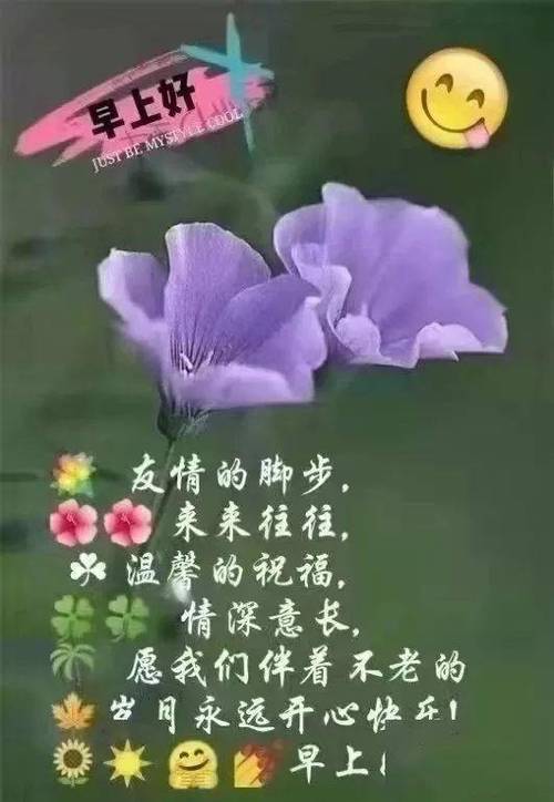 长假出行必备锦囊,假期出行需要准备什么 第1张 长假出行必备锦囊,假期出行需要准备什么 第1张