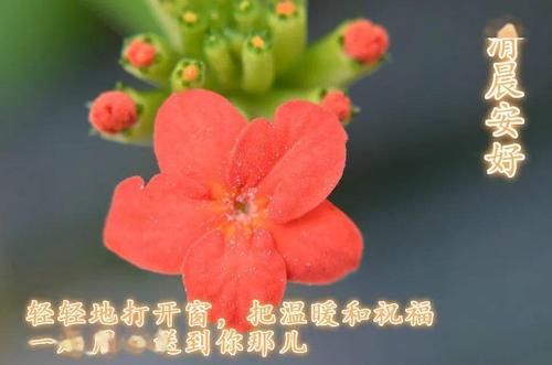 长假出行必备锦囊,假期出行需要准备什么 第5张 长假出行必备锦囊,假期出行需要准备什么 第5张