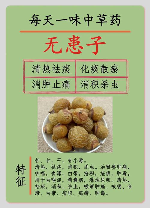 白喉症状最基本常识 - 白喉症状最基本常识是什么 第3张 白喉症状最基本常识 - 白喉症状最基本常识是什么 第3张