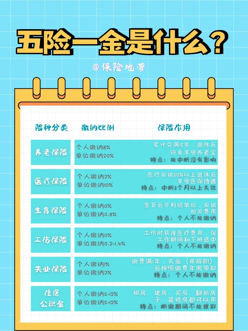 社保医保常识(社保医保常识大全) 第2张 社保医保常识(社保医保常识大全) 第2张