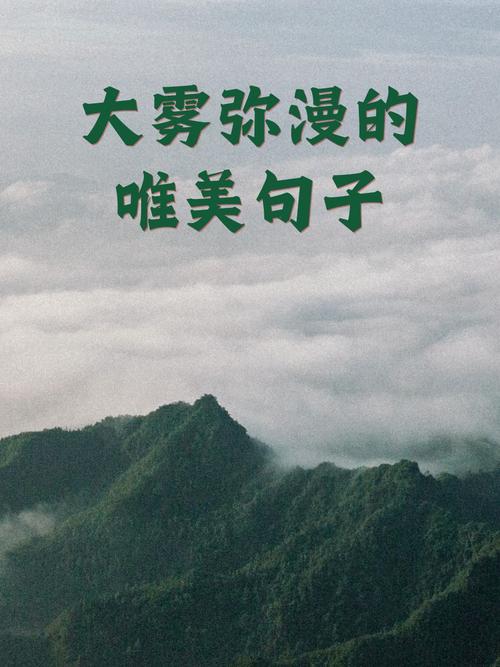 怎么形容大雾出行 - 怎么形容大雾出行的美 第7张 怎么形容大雾出行 - 怎么形容大雾出行的美 第7张