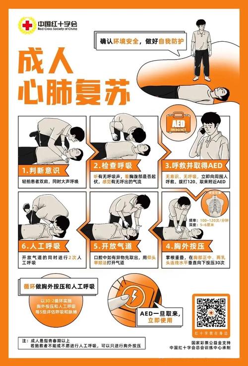 家庭急救常识(家庭急救常识讲座) 第4张 家庭急救常识(家庭急救常识讲座) 第4张