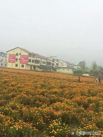 长安出行涪陵活动 - 长安出行可以开出重庆主城吗 第7张 长安出行涪陵活动 - 长安出行可以开出重庆主城吗 第7张