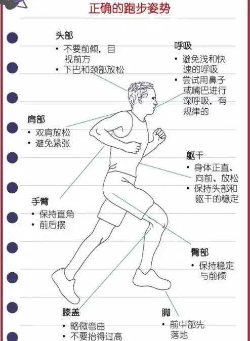 跑步基本常识 - 跑步的基本技术要领视频 第1张 跑步基本常识 - 跑步的基本技术要领视频 第1张