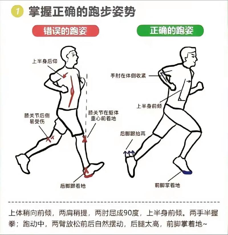 跑步基本常识 - 跑步的基本技术要领视频 第4张 跑步基本常识 - 跑步的基本技术要领视频 第4张