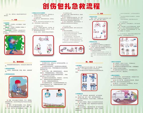 关于急救常识,关于急救常识的英语作文 第8张 关于急救常识,关于急救常识的英语作文 第8张
