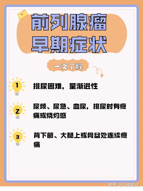 前列腺小常识,前列腺的日常保健知识 第4张 前列腺小常识,前列腺的日常保健知识 第4张